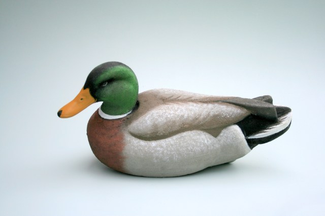 d-37-homer-mallard-drake-rolled
