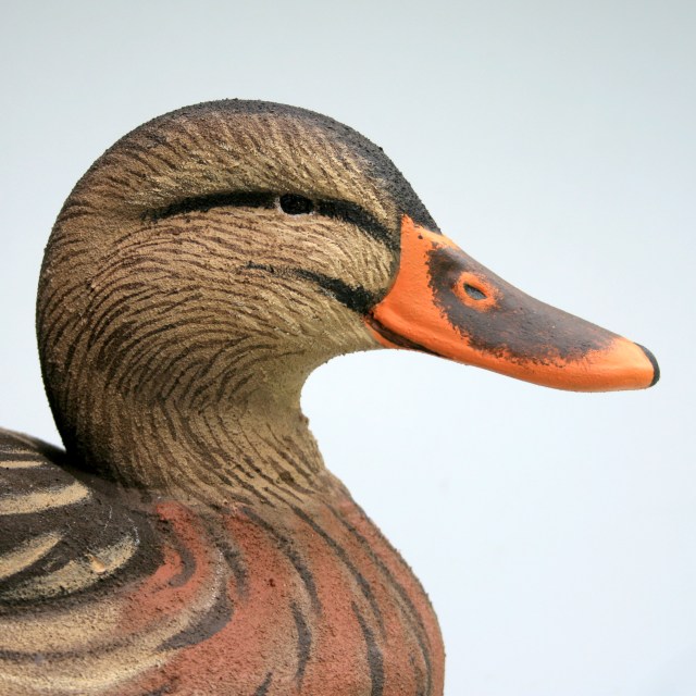 h-39-homer-mallard-hen-closeup-2