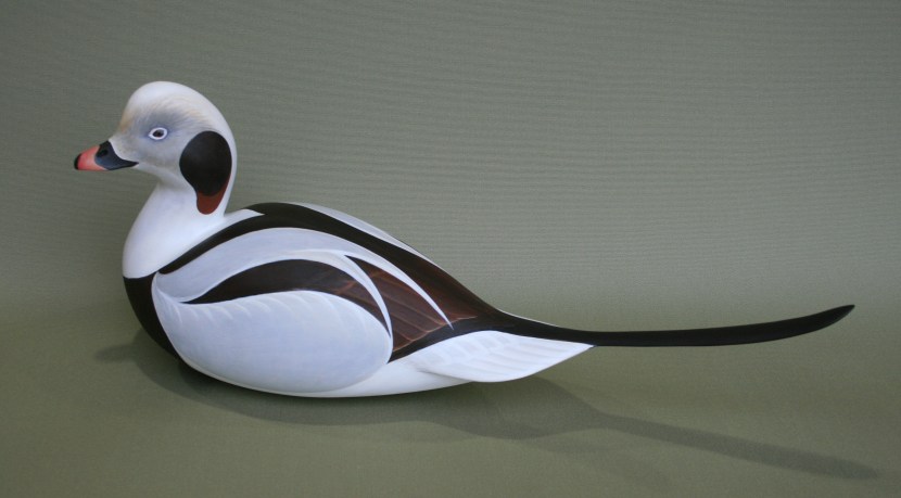 oldsquaw-1-27-2012-cropped